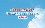 Tản văn Tùy bút là gì? Chất trữ tình và cái tôi trong tản văn tùy bút là gì? Ngữ Văn lớp 7